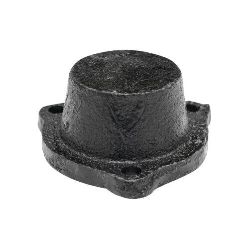 Capac butuc roata plug