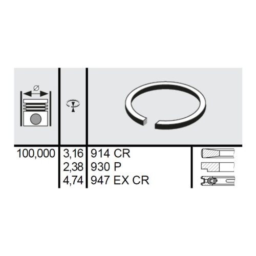 120 027 0006 00 - Set segmenti STD Ø100 3,16x2,38x4,74 mm Case IH 3144977R91