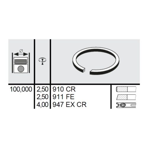 120 036 0029 00 - Set segmenti STD Ø100 2,5x2,5x4 mm Massey Ferguson 4181A014