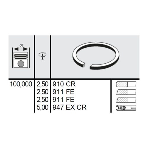 120 055 0004 00 - Set segmenti STD Ø100 2,5x2,5x2,5x5 mm Steyr 140800030005