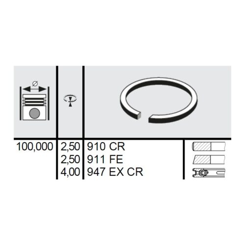 120 055 0006 00 - Set segmenti STD Ø100 2,5x2,5x4 mm Steyr 141185030701