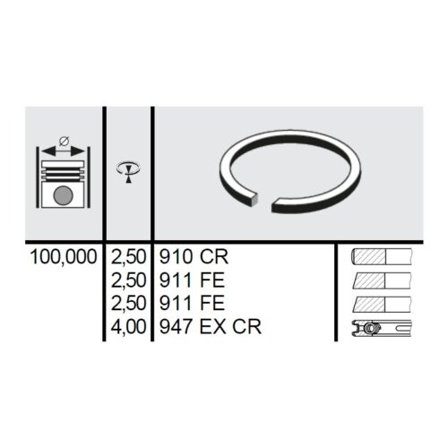 120 055 0010 00 - Set segmenti STD Ø100 2,5x2,5x2,5x4 mm Steyr