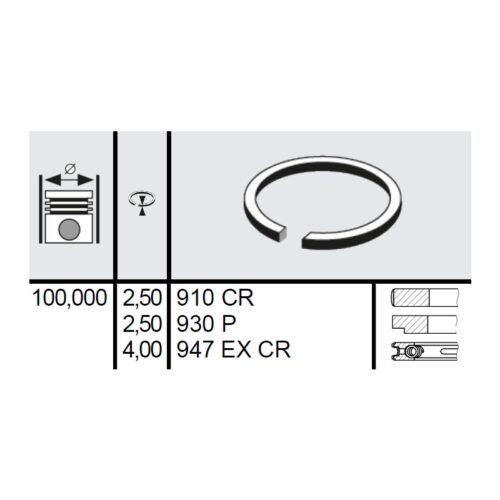 120 121 0001 00 - Set segmenti STD Ø100 2,5x2,5x4 mm Fiat 1930169