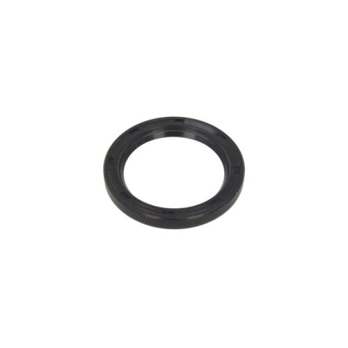19032634B - Simering caseta directie 38,1*50,8*6,35 Massey Ferguson 1850519M1