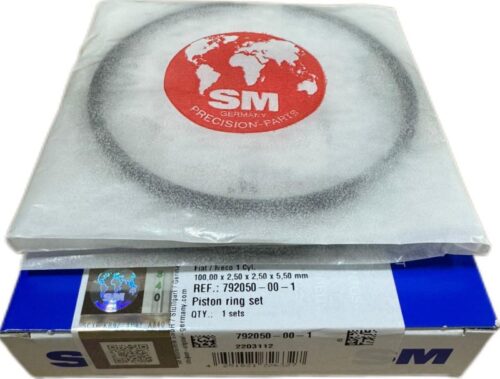 Segmenti motor Fi 100 SM Germany